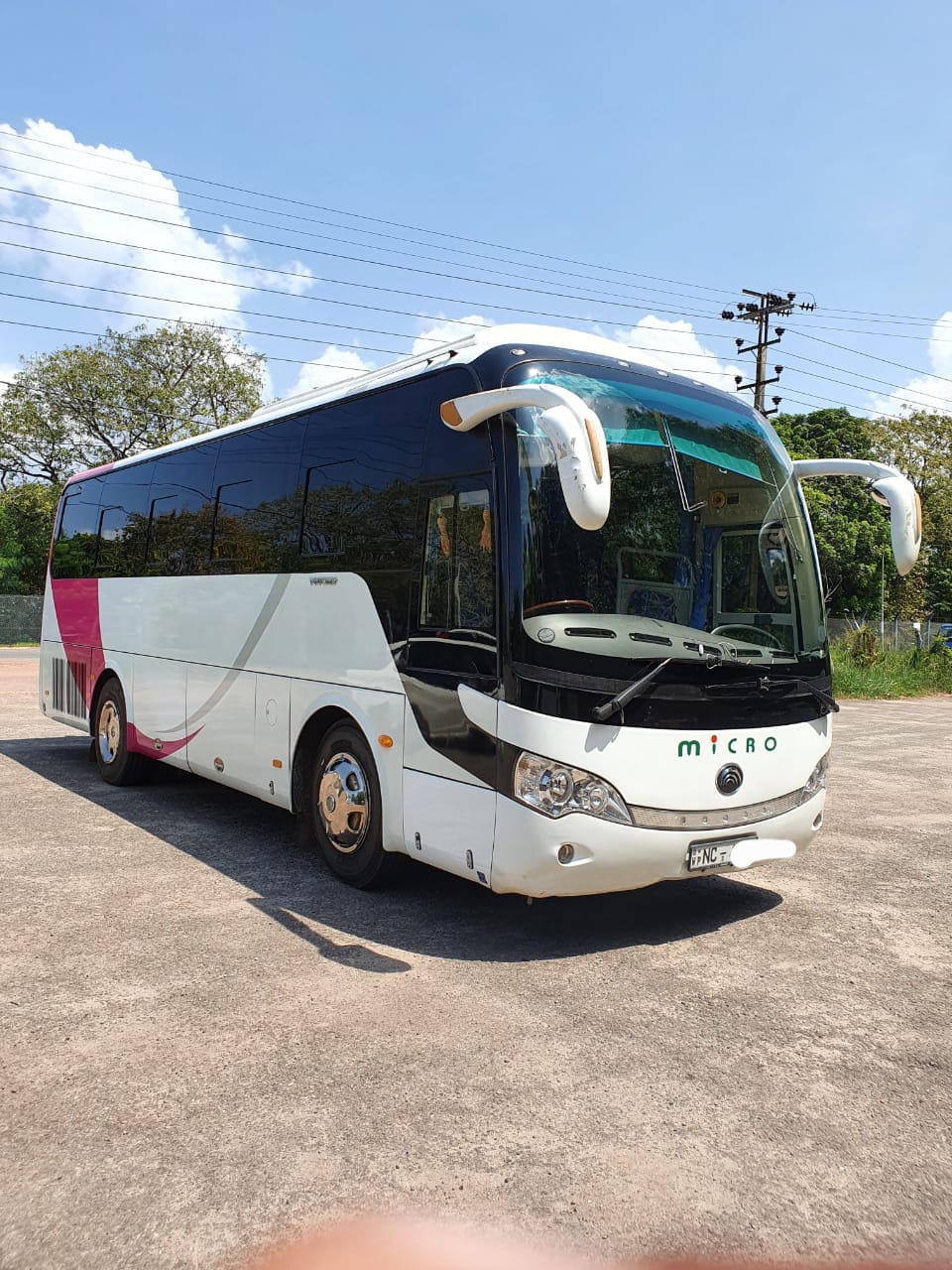 Traditional Festival